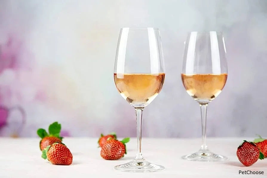 Как красиво подать шампанское: мини-гид по бокалам и аксессуарам